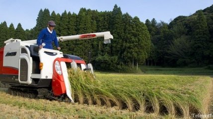Правительство Японии сократит производство риса на 3%