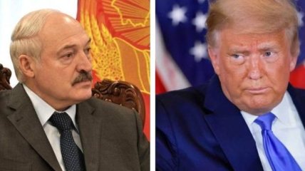 Трамп и Лукашенко стали героями меткой карикатуры