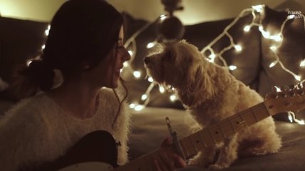 «Дух Рождества»: самая милая песня певицы и ее собаки (видео)