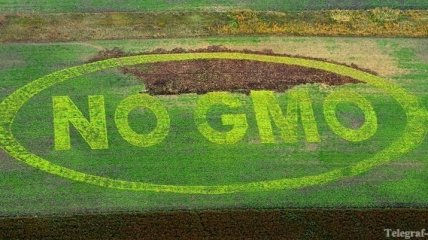 Украину проверят на ГМО