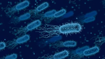 Устойчивые к одному антибиотику бактерии становятся резистентными к другим