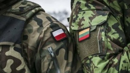 Литва и Польша отправят войска для защиты Сувальского коридора