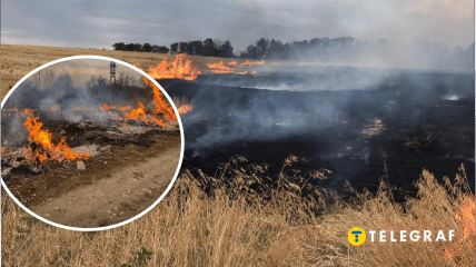 В Одессе горит поле, огонь приближается к домам