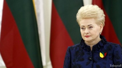 Литва рассматривает возможность высылки российских дипломатов