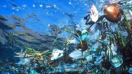 За год в Средиземное море попадает более 500 тысяч тонн пластика