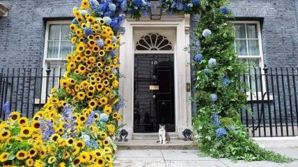 Вход в резиденцию премьер-министра Великобритании
