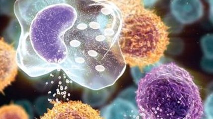 Ученые нашли способ заставить иммунную систему бороться с раком