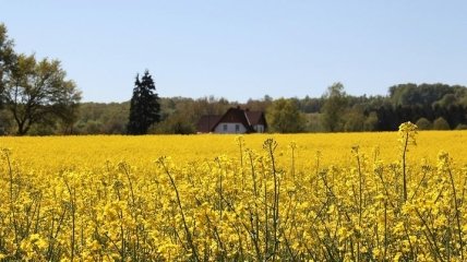 Яке свято 10 травня: народні прикмети і заборони