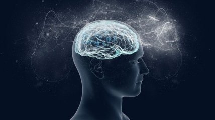 Что стоит знать о своем мозге