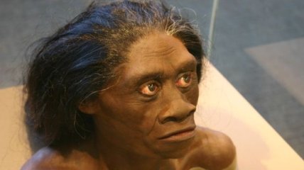 Археологи: предки человека истребили хоббитов