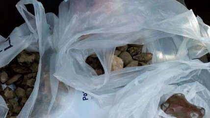 На Житомирщине задержана группа лиц за незаконную добычу янтаря