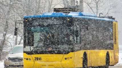 Чего только не увидешь в киевских автобусах