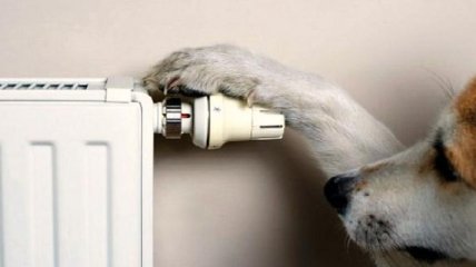 Коболев призвал продолжить акцию #прикрути