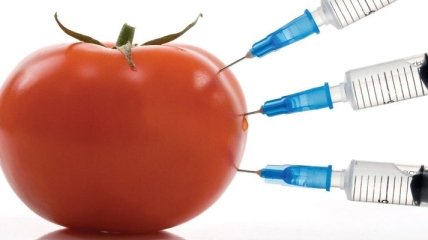 ГМО есть во всех продуктах