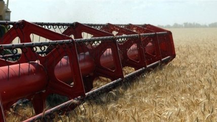 Премьер: 8 млн тонн зерна нового урожая уже собрали в Украине