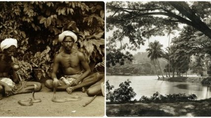 Редчайшие фотографии повседневной жизни Шри-Ланки в 1880-х годах (Фото) 
