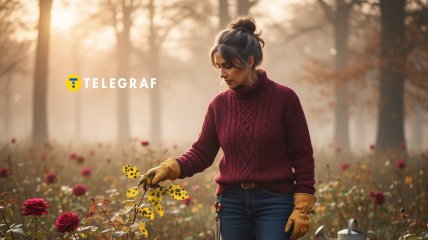 Розы осенью требуют особого ухода