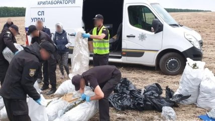 На Луганщине полицейские изъяли 150 кг марихуаны