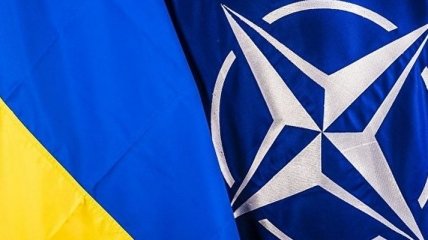 Готова ли Украина к вступлению в НАТО? Взгляд Европы на ситуацию