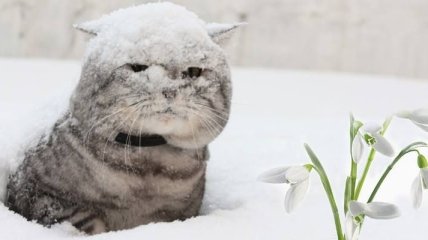 Прогноз погоды на 21 марта в Украине: снег и гололед