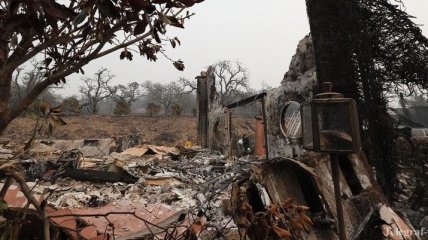 Масштабные лесные пожары в Калифорнии: число жертв возросло до 23