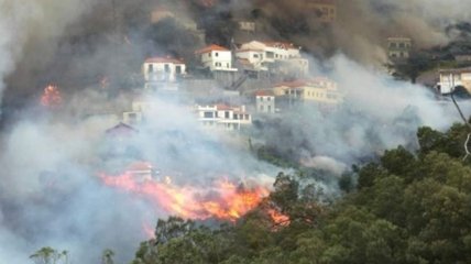 Пожары охватили португальский остров Мадейра: тысячи людей эвакуированы (Видео)