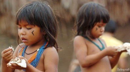 Бразильские индейцы впервые вступили в контакт с внешним миром