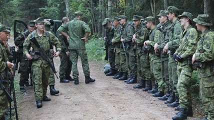 В Литве планируют нарастить численность вооруженных сил 