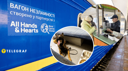 Вагоны несокрушимости