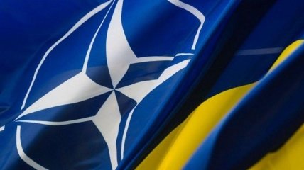 В Брюсселе одобрили декларацию о стремлении Украины в НАТО