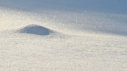 Есть ли снег в Буковеле и на Драгобрате: фото и видео из онлайн-камер