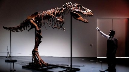 Динозавры вымерли больше 60 млн лет назад