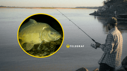 Украинец похвастался уловом