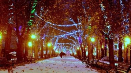 Первый снег в Одессе попал на захватывающие фото и видео