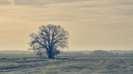 В Україну йде різке похолодання: на яку погоду чекати до кінця місяця