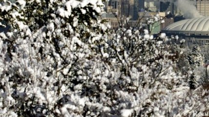 Сильнейшие снегопады наблюдаются в большинстве регионов КНДР 
