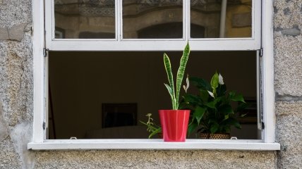 Як правильно провітрювати будинок