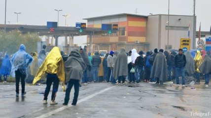 Хорватия открыла для мигрантов границу с Сербией