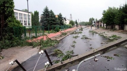 Буря обесточила почти 300 населенных пунктов Беларуси