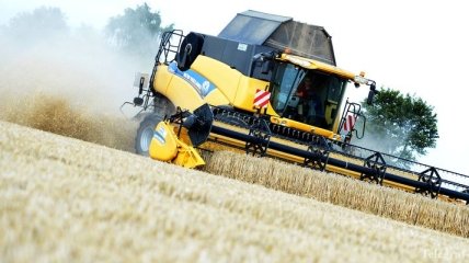 Украина к 8 сентября намолотила 37,5 млн тонн зерна