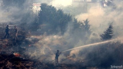 Пожары на острове Закинтос в Греции могли возникнуть из-за поджога