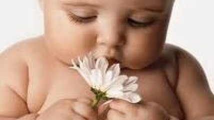 Пик интеллектуальной активности наступает в младенчестве