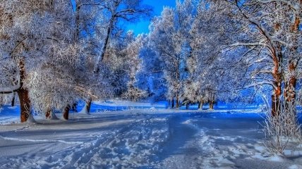  Зима не придет в Украину еще 2 недели