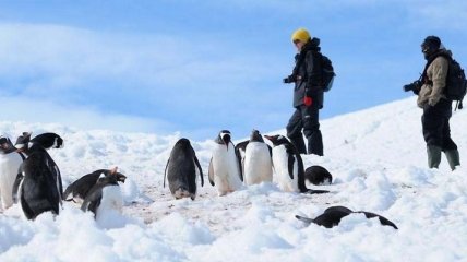 В НАНЦ рассказали, чем будут заниматься участники украинской экспедиции в Антарктику