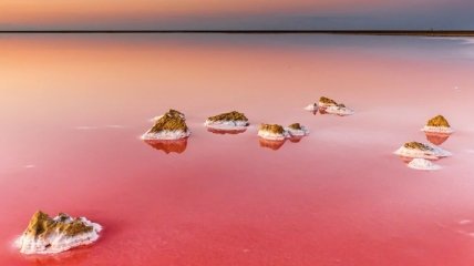 Розовый сон наяву: мексиканская лагуна, от которой не отвести взгляд (Фото) 