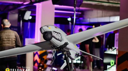 Виставка NAUDI у Києві