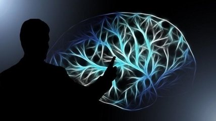 Стало известно, как мозг различает прикосновения собственного организма и чужого