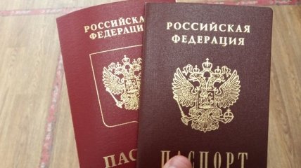 В России странно ответили на претензии Зеленского по поводу раздачи паспортов РФ жителям ОРДЛО