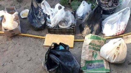 В Ровенской области изъяли почти 40 кг незаконно добытого янтаря-сырца (Фото)