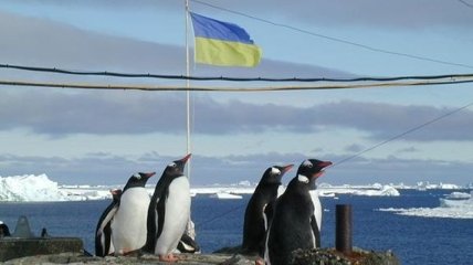 Украина и Австралия сверили часы перед антарктическим совещанием в Пекине